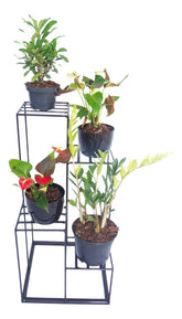 Floreira 4 Andares Ferro Suporte Plantas Vasos  Varanda
