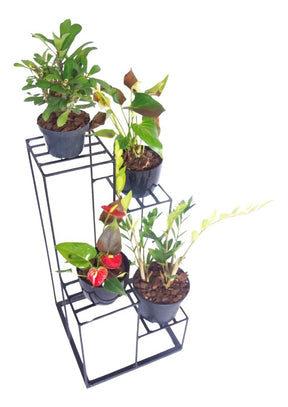 Floreira 4 Andares Ferro Suporte Plantas Vasos  Varanda